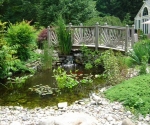 pond-waterfall-bridge